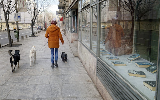 Shopping with a dog is not easy, but it is an excellent social practice.