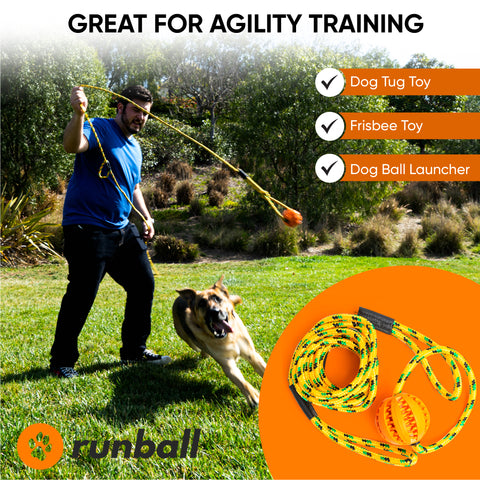 Runball Exercise - Ball On A Rope Dog Toy